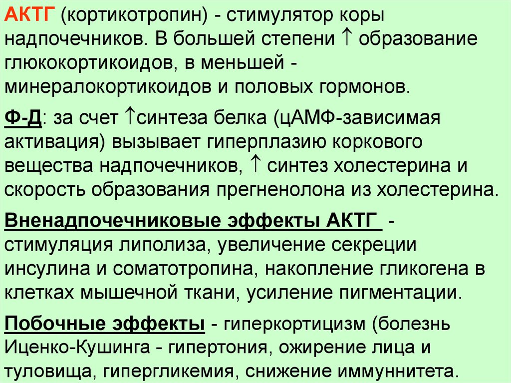 Актг гормон. АКТГ функции гормона. Функции кортикотропного гормона. АКТГ (адренокортикотропный гормон) функции. Снижение секреции АКТГ.