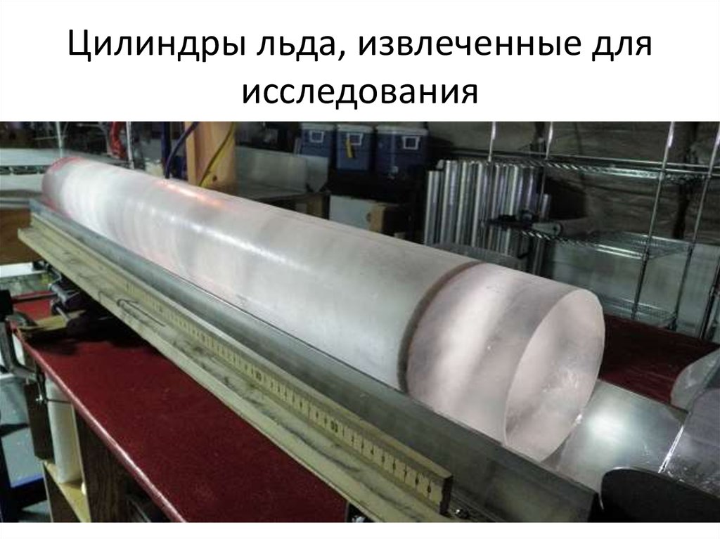 Цилиндры льда, извлеченные для исследования