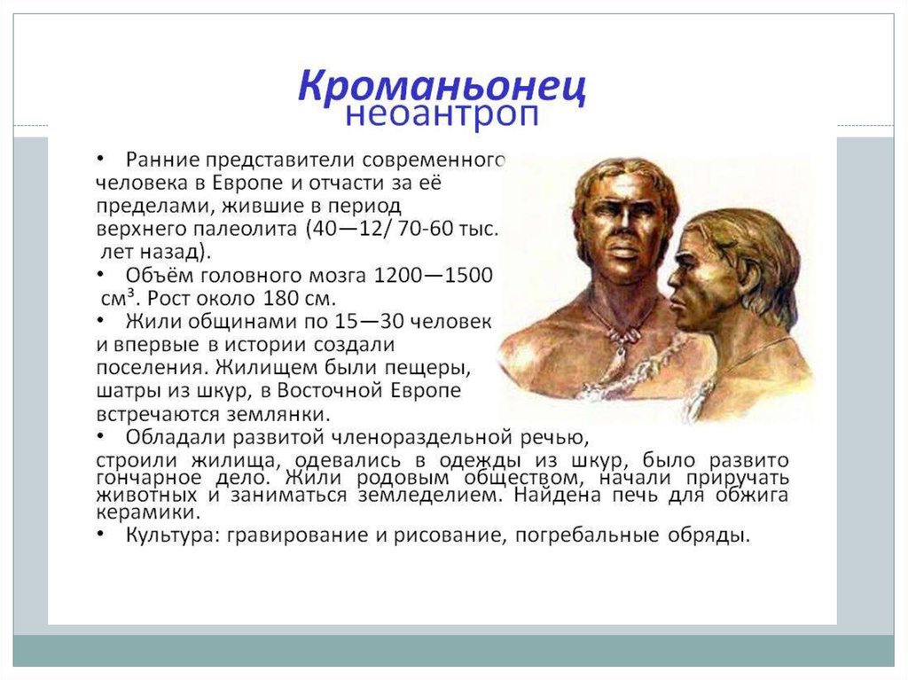 Хомо сапиенс появился в эпоху какого палеолита. Современные люди (Неоантропы) кроманьонцы характеристика. Кроманьонец хронологический Возраст. Кроманьонец характеристика. Неоантропы характеристика.