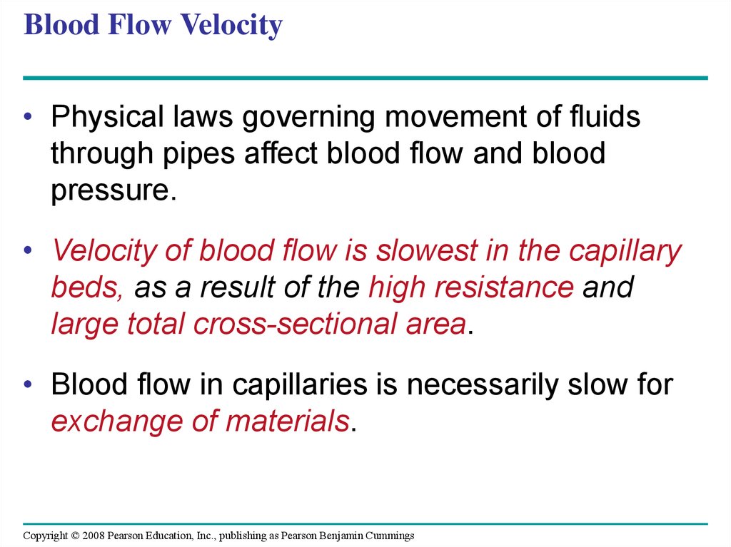 Blood Flow Velocity