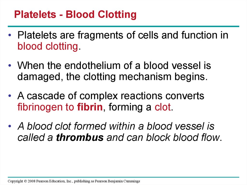 Platelets - Blood Clotting