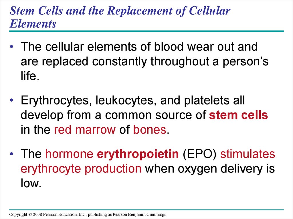 Stem Cells and the Replacement of Cellular Elements