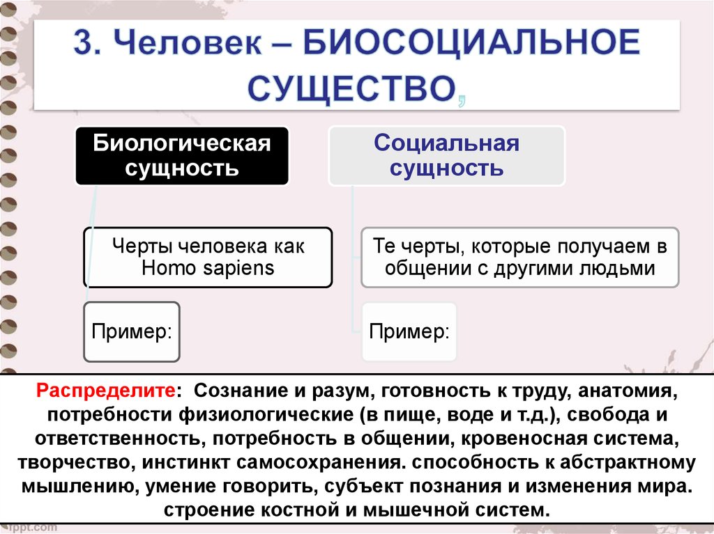 Сложный план биосоциальная сущность человека обществознание егэ