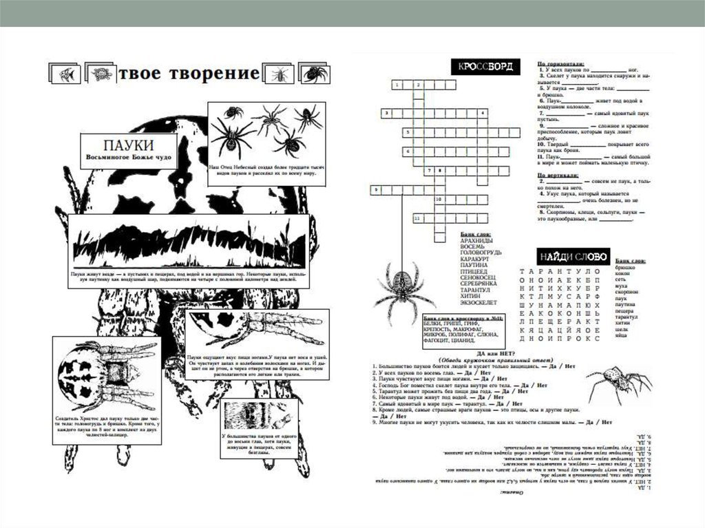 Задания из журнала «Творец»