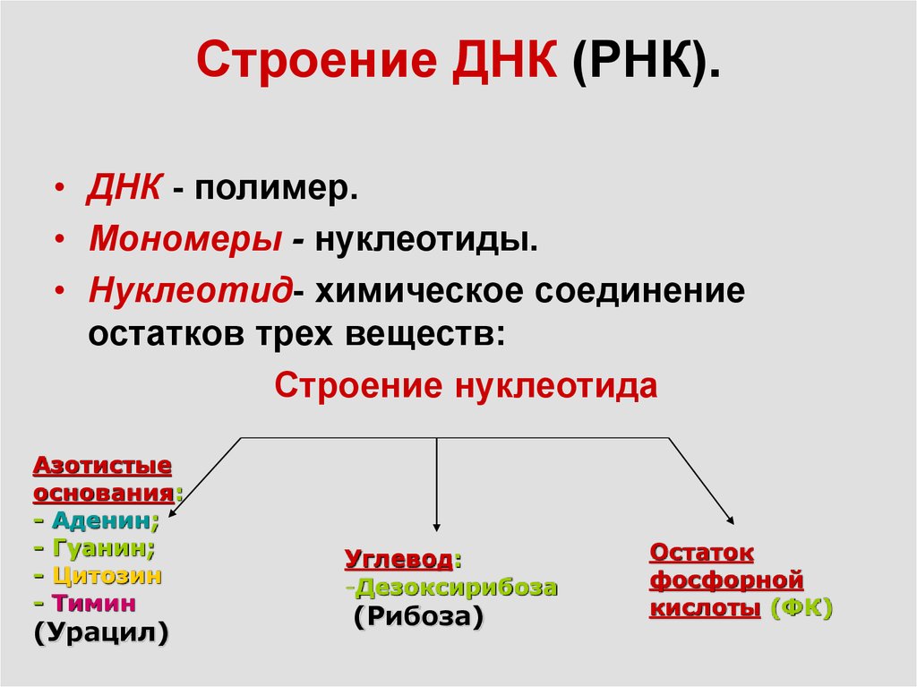 Кто считается открывателем принцип передачи генетической информации изображенного на рисунке огэ