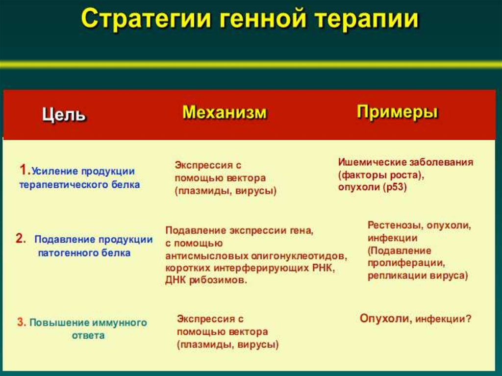 Кто считается открывателем принцип передачи генетической информации изображенного на рисунке огэ