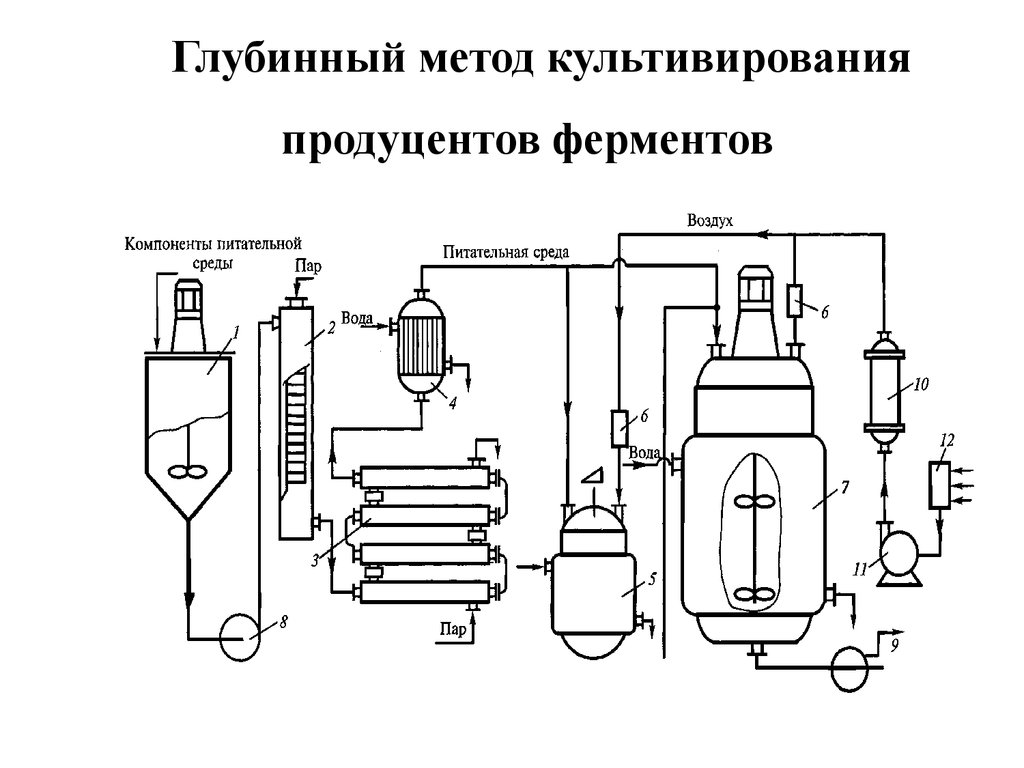 Блок схема производства антибиотиков