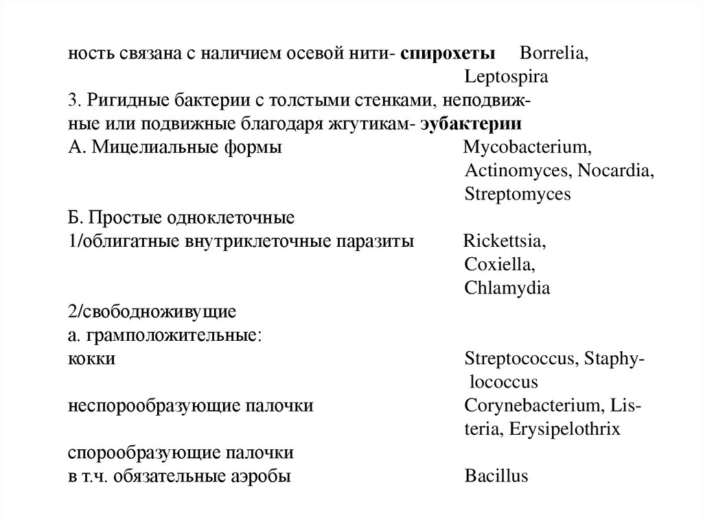    Bifidobacterium                   -      