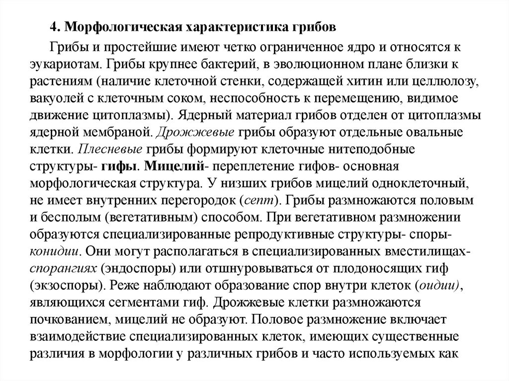 Морфологическая характеристика. Морфологическая характеристика грибов. Морфологические особенности грибов. Важнейшие морфологические особенности грибов. Морфология и характеристика грибов.