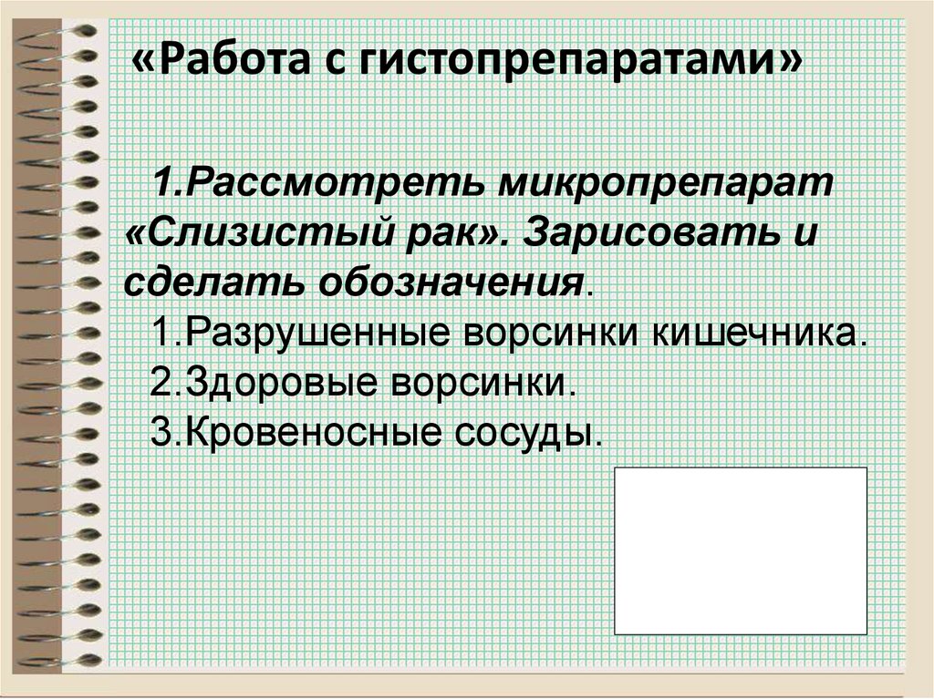 «Работа с гистопрепаратами»