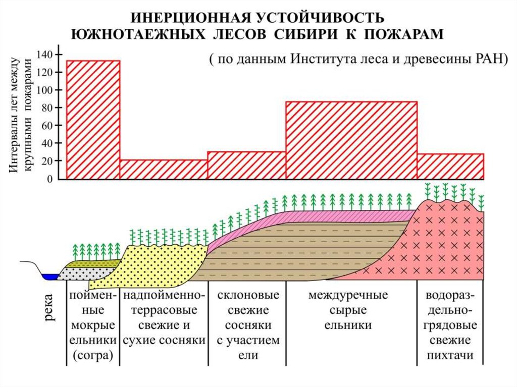 Классификация ландшафта с использованием географической информации. Динамика функционирования ландшафта. Хронологическая динамика ландшафта. Виды динамики ландшафта. Динамика ландшафта и ее виды.