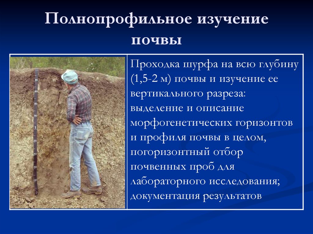 Полнопрофильное изучение почвы