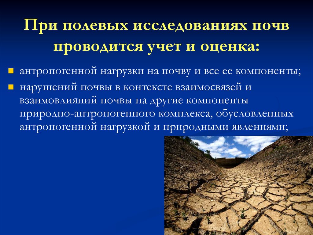 Нарушение почвы. Полевое исследование почв. Задачи полевого исследования почв. Методы полевого изучения почв. Методика полевого исследования почв.