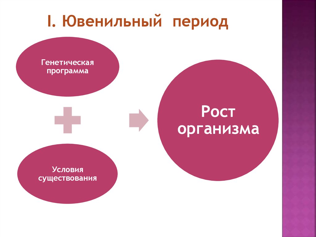 Периода роль. Ювенильный период. Ювенильный период развития человека. Ювенильный период это в биологии. Ювенильный период у животных кратко.