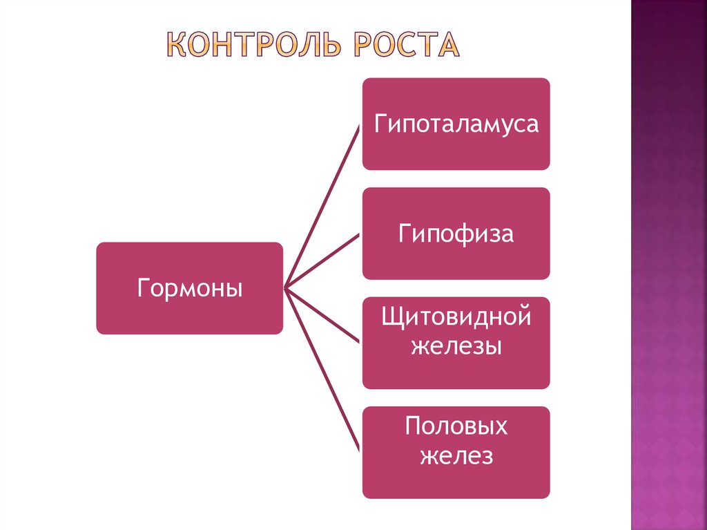 Контроль роста. Контролируемый рост. Контроль за ростом цен. Контроль над ростом цен.