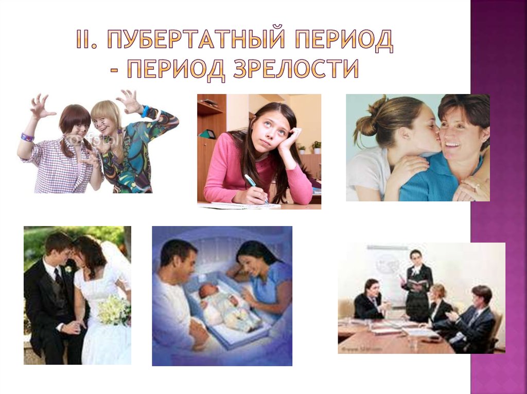 II. Пубертатный период - период зрелости