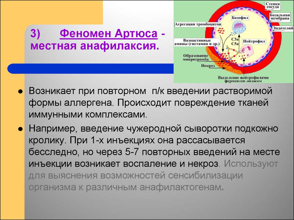 Иммунный 3. Феномен Артюса патогенез. Феномен Артюса механизм развития. Феномен Артюса патофизиология.