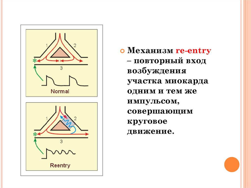 r entry Ð¢Ð°Ñ…Ð¸ÐºÐ°Ñ€Ð´Ð¸Ñ Ð¿Ð¾  Ð¿Ñ€ÐµÐ·ÐµÐ½Ñ‚Ð°Ñ†Ð¸Ñ  Ð¼ÐµÑ…Ð°Ð½Ð¸Ð·Ð¼Ñƒ re Ð¾Ð½Ð»Ð°Ð¹Ð½ entry