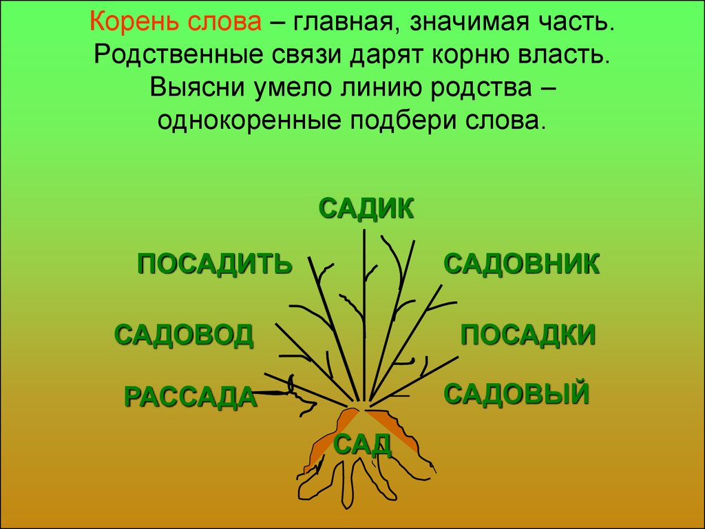 Сторож корень слова