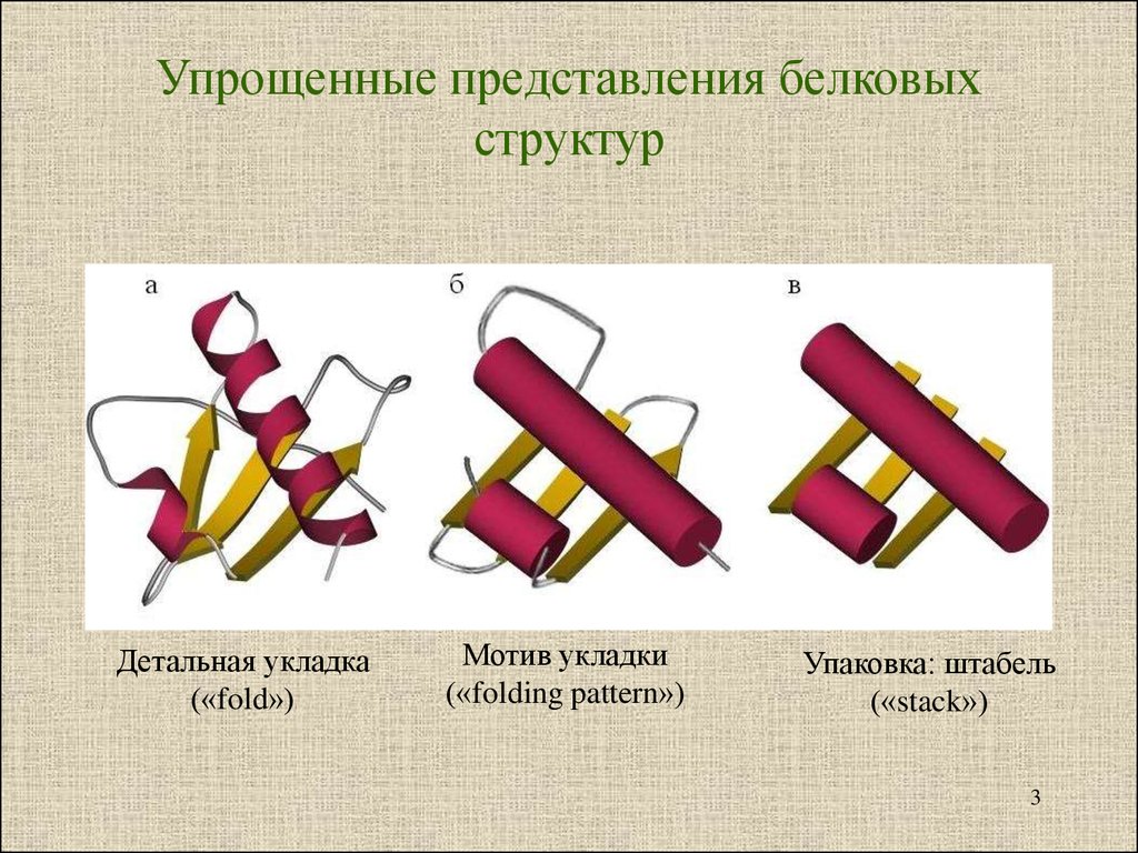 Упрощенные представления. Мотив укладки белков. Мотив укладки белка.