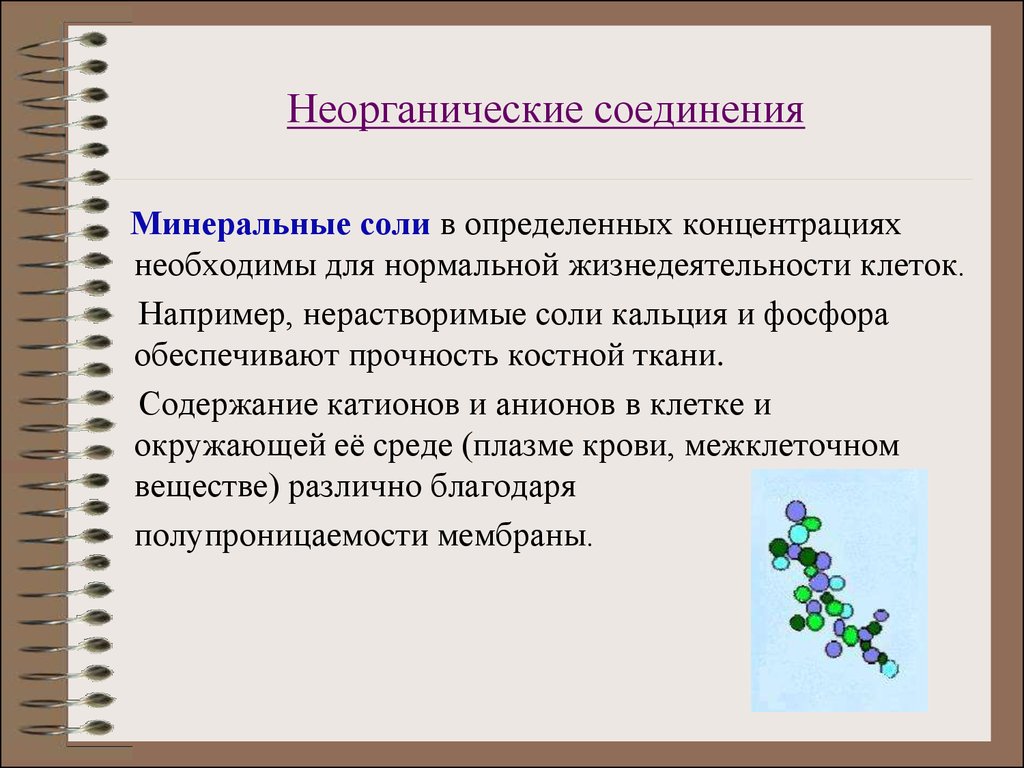 Презентация неорганические вещества клетки вода и минеральные соли