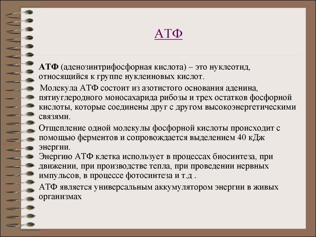 Выработка атф. Характеристика АТФ биология 9 класс. АТФ строение и функции. Основные функции АТФ. Характеристика АТФ.