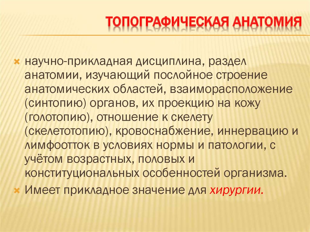 Русскую анатомическую терминологию разработал