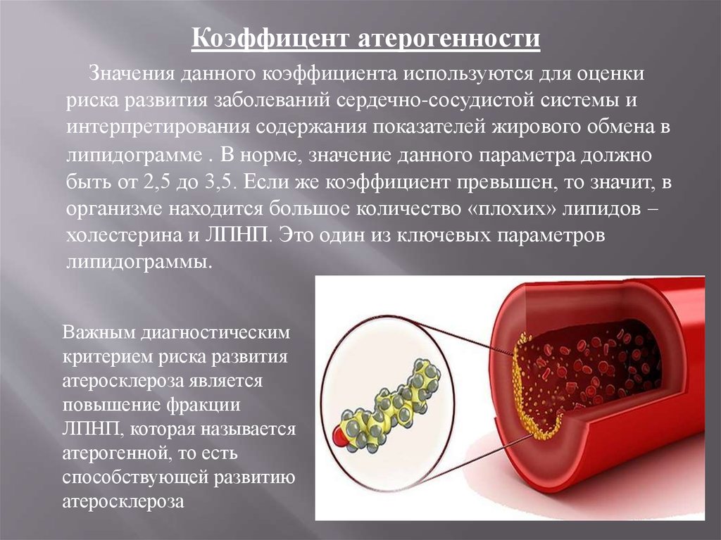 Что значит превышает. Липидограмма крови презентация. Атерогенные формы липидов. Роль нарушений жирового обмена в развитии атеросклероза.. Риск развития атеросклероза увеличивается при дефиците витаминов.