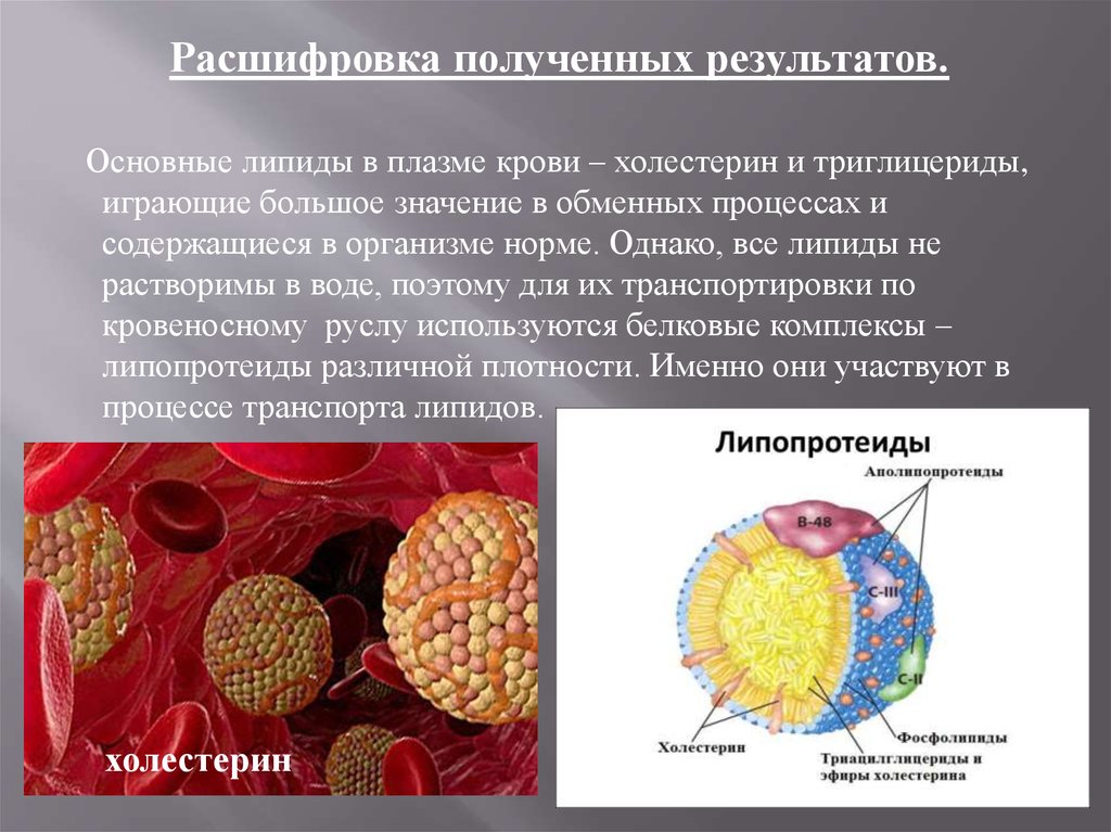 Липиды лпнп. Общие липиды норма.