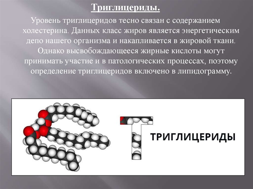 Что такое триглицериды. Триглицериды в организме человека. Триглицериды биохимия. Роль триглицеридов в организме. Триглицериды жирных кислот.