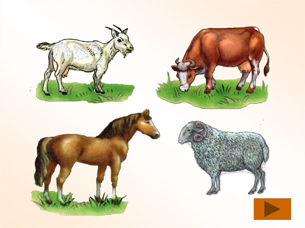 Выберите лишнее животное в природной зоне. 4 Лишний животные. Четвертый лишний домашние животные. Игра четвёртый лишний в картинках животные. Картинки животных с лишними деталями.