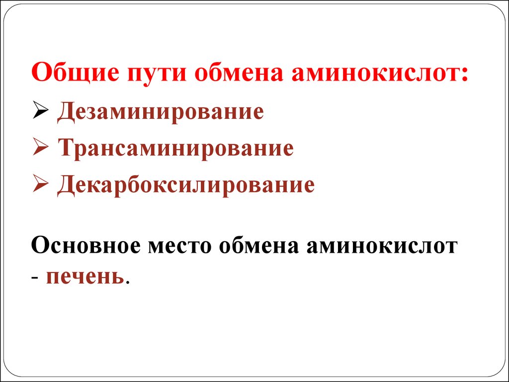 Путь обмена. Общиу пути обмера Амино кислот. Общие пути обмена аминокислот. Общие пути обмена-дезаминирование..