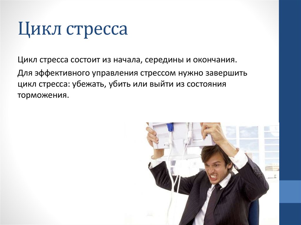 Управление стрессами в организации. Цикл стресса. Управление стрессом. Цикл стресс реакции. Инструменты управления стрессом.