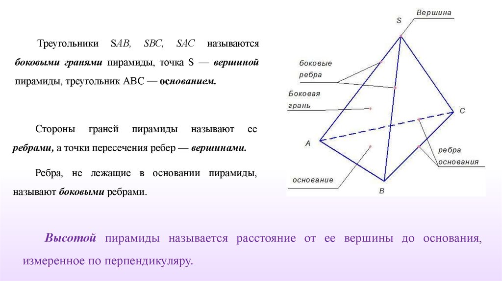 Сколько вершин имеет пирамида. Ребра треугольной пирамиды. Вершины треугольной пирамиды. Вершины и ребра пирамиды. Треугольная пирамдавершины.