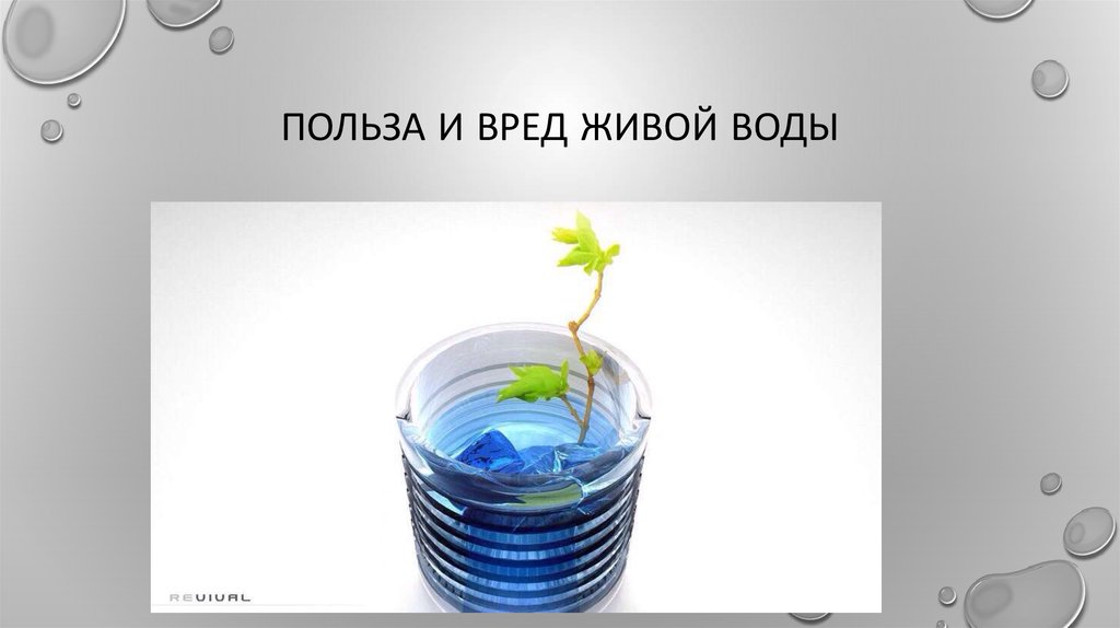 Живая вода это. Опыт «Живая вода». Польза живой воды. Опыты с мертвой и живой водой. Польза и вред воды.