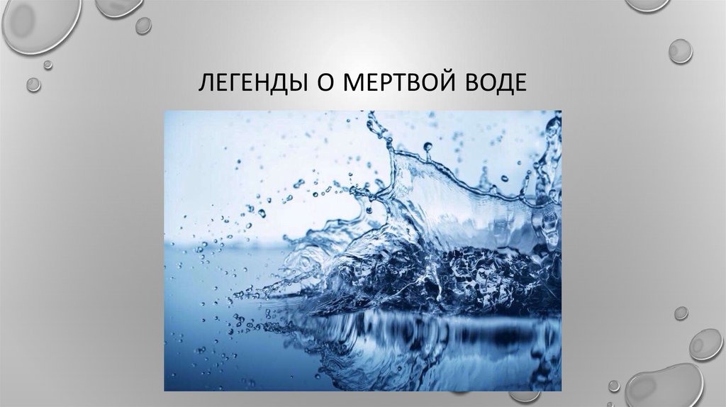 Проект мертвая вода