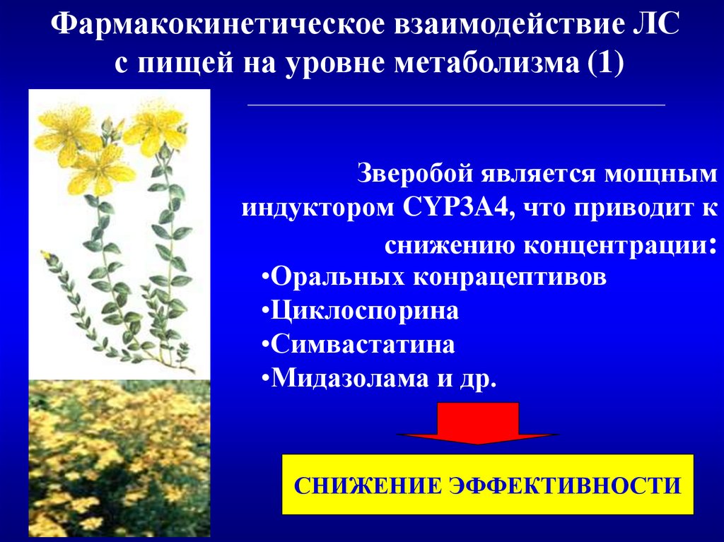 Взаимодействие лекарственных препаратов с пищей презентация