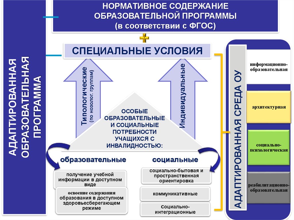 Инклюзивное образование: вызовы и риски - online presentation