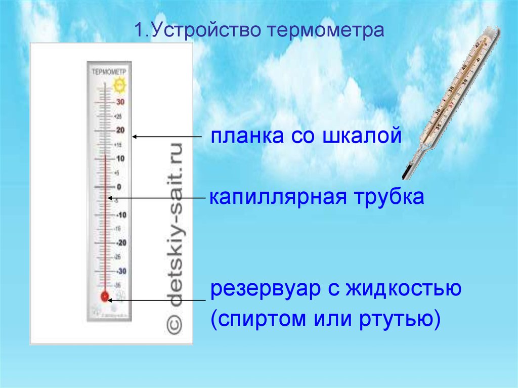 Части термометра окружающий мир