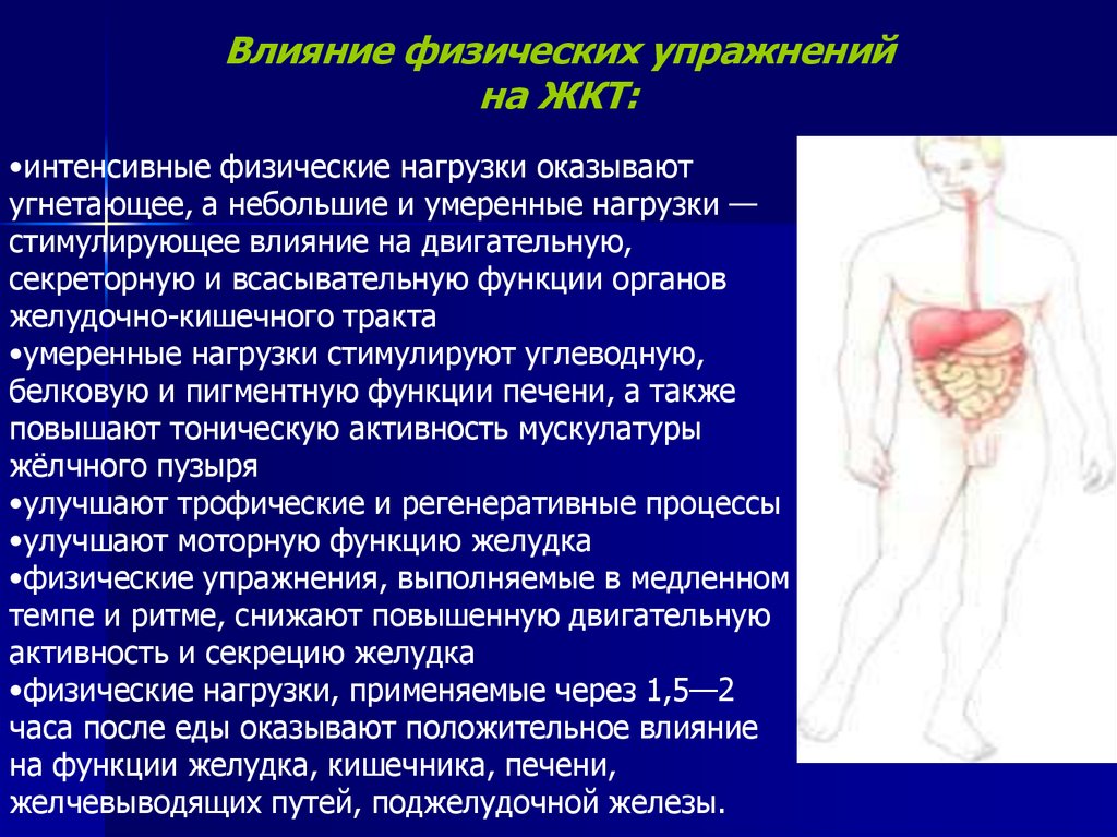 Функции физических упражнений. Влияние физической нагрузки на ЖКТ. Механизмы действия физических упражнений. Положительное влияние на ЖКТ. Влияние интенсивной нагрузки на ЖКТ.