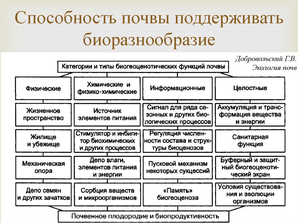 Основные функции почвы. Функции почвы. Экологические функции почв. Глобальные функции почвы. Биогеоценотические функции почв.