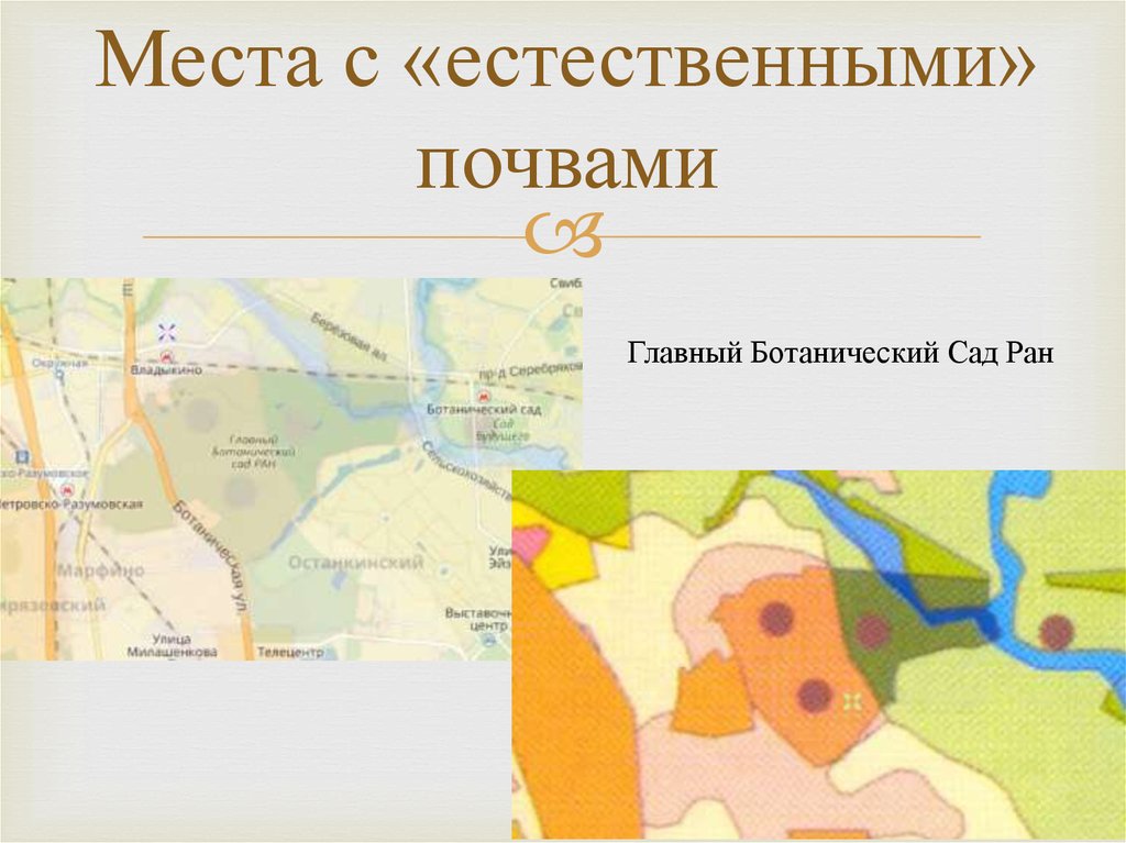 Почвы москвы. Основные сведения о почвах Москвы. Основные почвы Москвы. Почва в Москве для 4 класса. Какая почва в Москве.