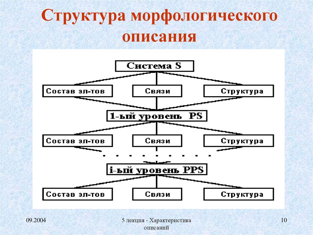 Описать систему. Морфологическая структура. Морфологическое описание системы образования. Морфологическая структура системы. Морфологическая структура это в биологии.