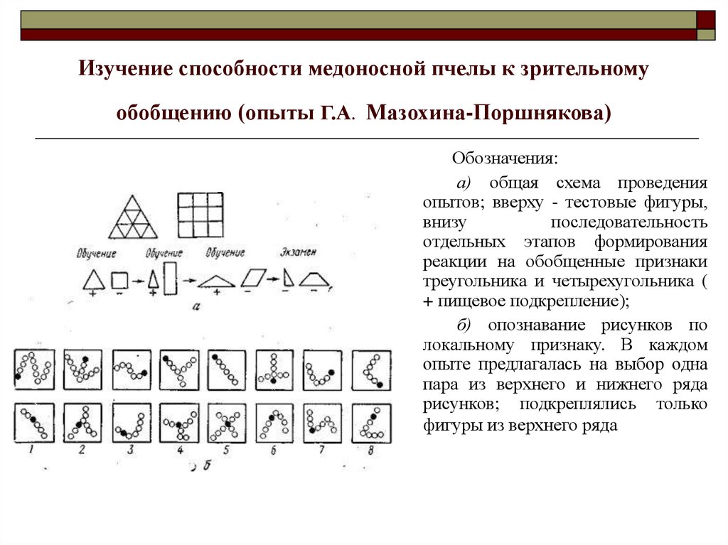 Исследования способностей