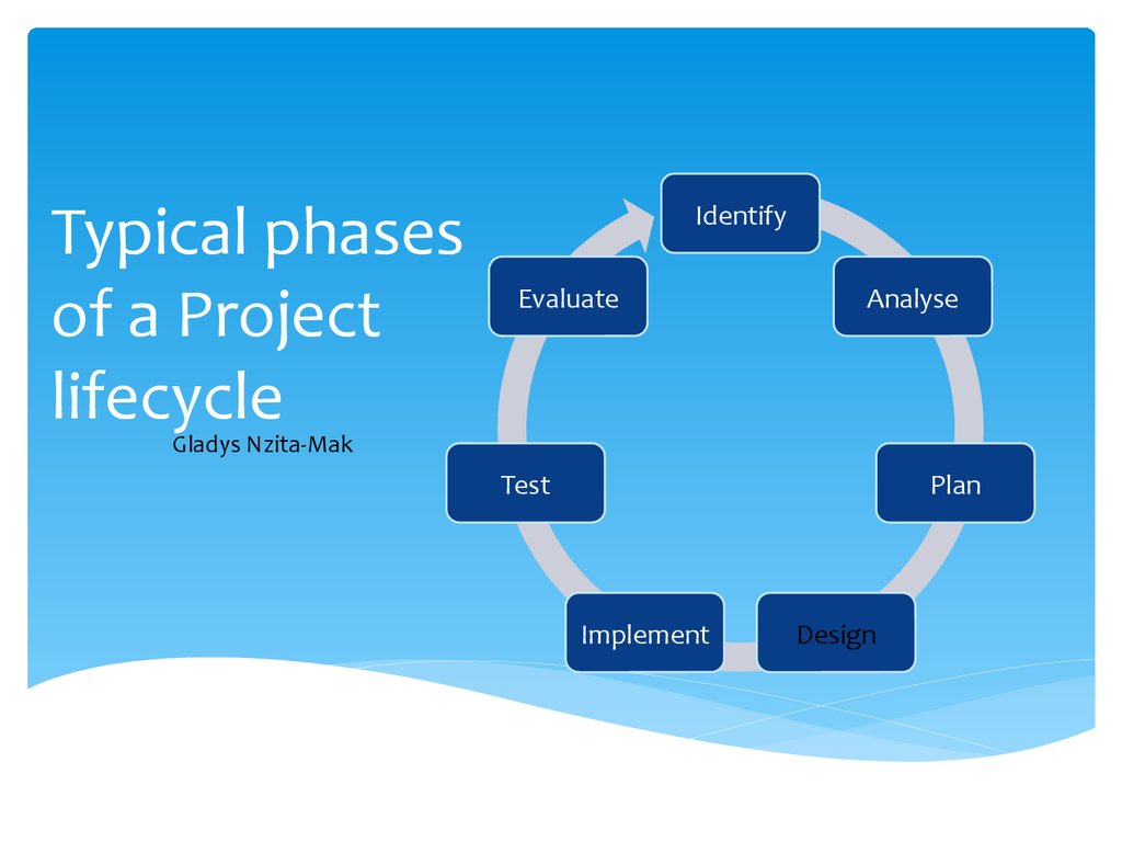 Stages Of A Project Life Cycle