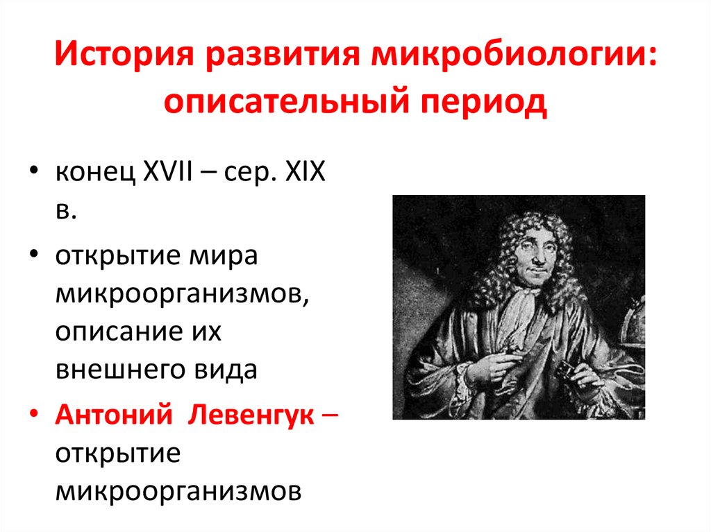 Кто первым увидел и описал микроорганизмы