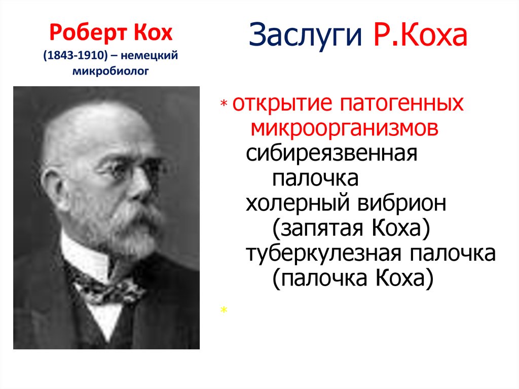 Немецкий ученый кох исследовал инфекционные болезни млекопитающих