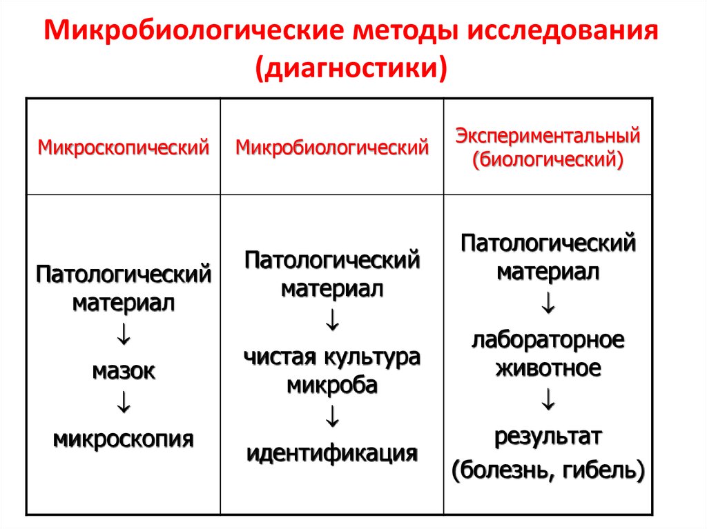 Методы микробиологии