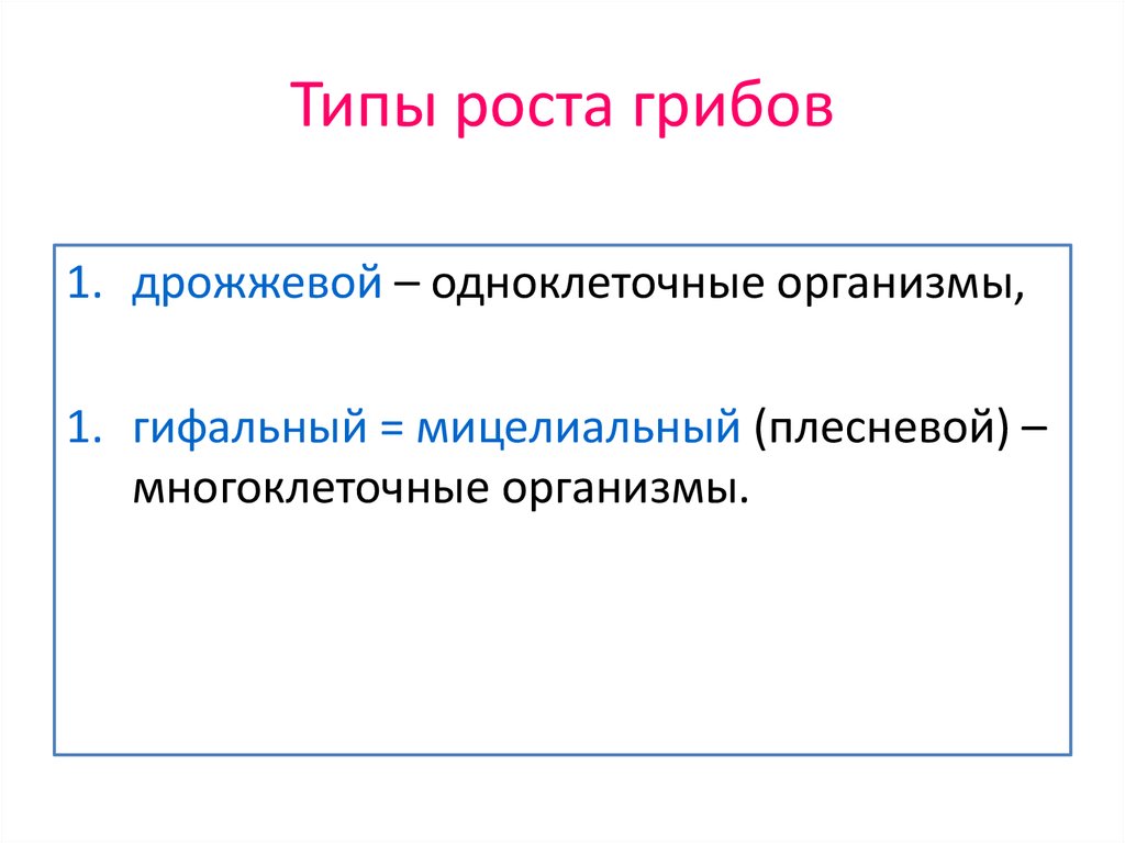 Виды роста. Типы роста грибов. Мицелиальный Тип роста грибов. Типы роста. Рост грибов дрожжевой Тип роста грибов. Мицелиальный Тип.