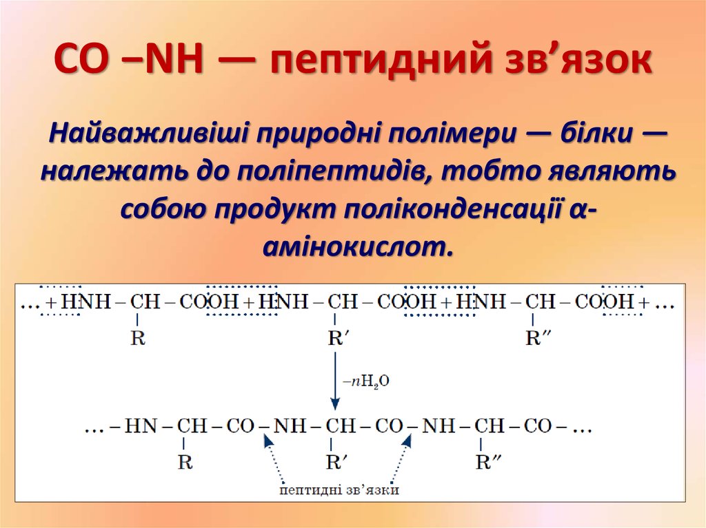 CO −NH — пептидний зв’язок
